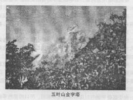 b40.jpg (10677 �ֽ�)